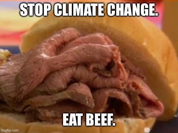 Roast beef | STOP CLIMATE CHANGE. EAT BEEF. | image tagged in roast beef | made w/ Imgflip meme maker