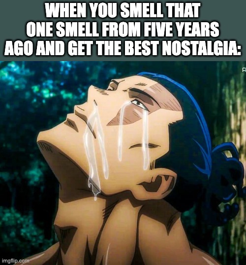 this happens to me with strawberry chapstick lol | WHEN YOU SMELL THAT ONE SMELL FROM FIVE YEARS AGO AND GET THE BEST NOSTALGIA: | image tagged in todo crying | made w/ Imgflip meme maker