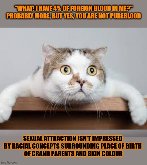 This #lolcat wonders why hoo-mans don't realize they are all foreigners | "WHAT! I HAVE 4% OF FOREIGN BLOOD IN ME?"
PROBABLY MORE, BUT YES, YOU ARE NOT PUREBLOOD; SEXUAL ATTRACTION ISN'T IMPRESSED 
BY RACIAL CONCEPTS SURROUNDING PLACE OF BIRTH 
OF GRAND PARENTS AND SKIN COLOUR | image tagged in foreigner,bias,racism,lolcat | made w/ Imgflip meme maker
