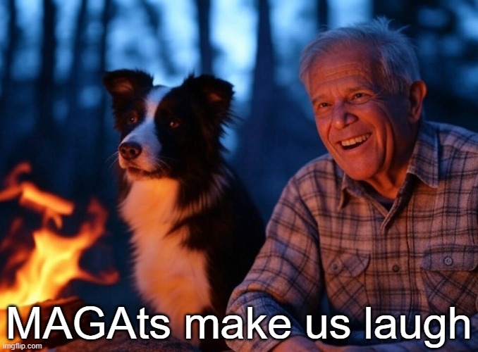 9t5kn2.jpg