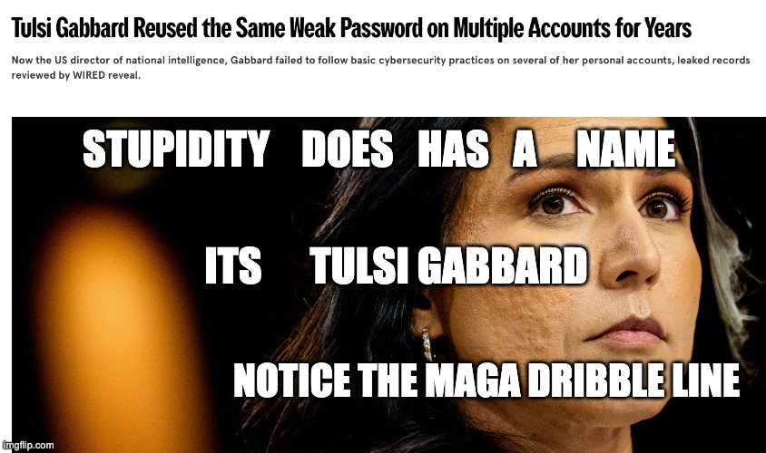 Stupidity's name is Tulsi. | STUPIDITY    DOES   HAS   A     NAME; ITS      TULSI GABBARD; NOTICE THE MAGA DRIBBLE LINE | image tagged in tulsi gabbard us director of national stupidity | made w/ Imgflip meme maker
