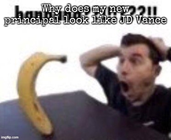 banbana??!!!???!! | Why does my new principal look like JD Vance | image tagged in banbana,msmg | made w/ Imgflip meme maker