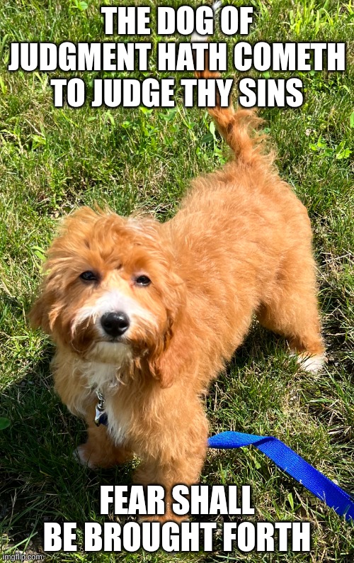*Boss music intensifies* | THE DOG OF JUDGMENT HATH COMETH TO JUDGE THY SINS; FEAR SHALL BE BROUGHT FORTH | image tagged in dog of judgement | made w/ Imgflip meme maker