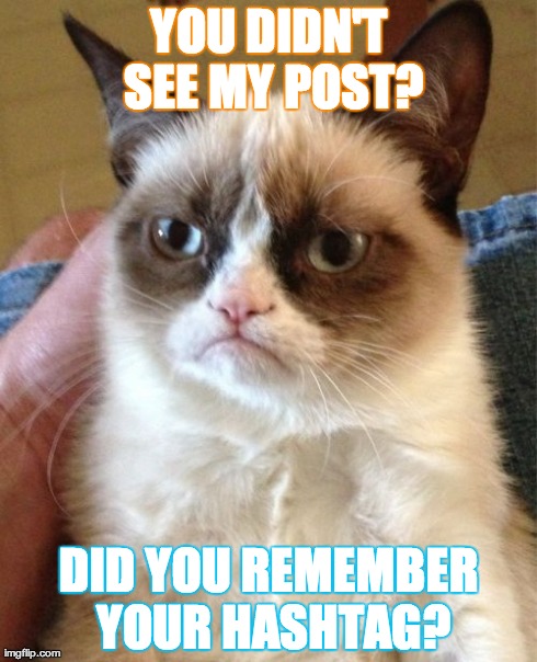 Grumpy Cat Meme | YOU DIDN'T SEE MY POST? DID YOU REMEMBER YOUR HASHTAG? | image tagged in memes,grumpy cat | made w/ Imgflip meme maker