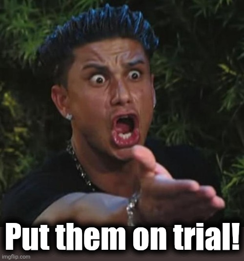 DJ Pauly D Meme | Put them on trial! | image tagged in memes,dj pauly d | made w/ Imgflip meme maker