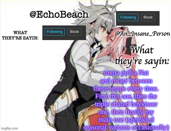 also Echo you gotta position BOTH text boxes 3:< (it oki dw) | imma pull a Nat and rotate between these temps every time. First this one, then the triple shared boykisser one, then finally my main one (sprinkled seasonal variants occasionally) | image tagged in echobeach and insaneperson shared temp 3 | made w/ Imgflip meme maker