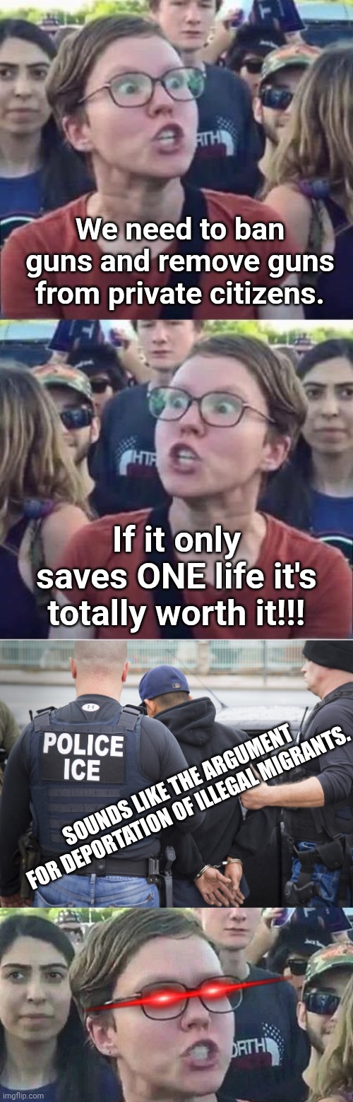 We need to ban guns and remove guns from private citizens. If it only saves ONE life it's totally worth it!!! SOUNDS LIKE THE ARGUMENT FOR DEPORTATION OF ILLEGAL MIGRANTS. | image tagged in angry liberal hypocrite,crimmigrant deportation,triggered snowflake | made w/ Imgflip meme maker