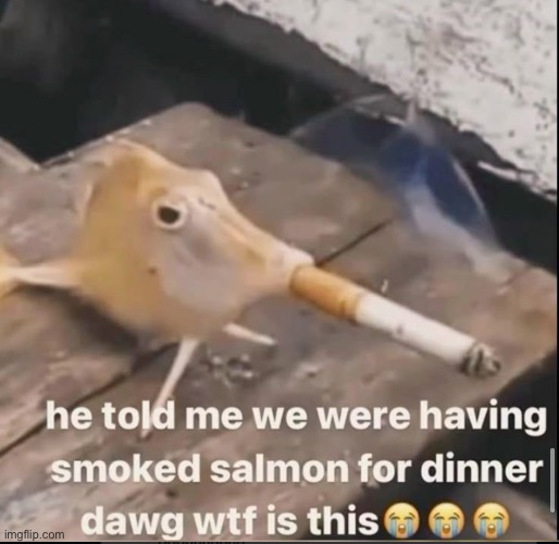 Smoked salmon | made w/ Imgflip meme maker