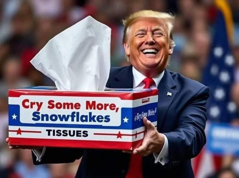 Trump with tissues Blank Meme Template