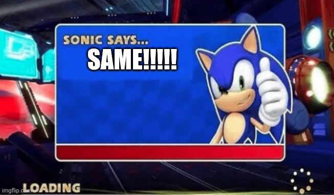 SAME!!!!! | image tagged in sonic says | made w/ Imgflip meme maker