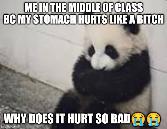 sad panda | ME IN THE MIDDLE OF CLASS BC MY STOMACH HURTS LIKE A BITCH; WHY DOES IT HURT SO BAD😭😭 | image tagged in sad panda | made w/ Imgflip meme maker