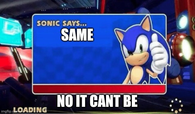 SAME NO IT CANT BE | image tagged in sonic says | made w/ Imgflip meme maker