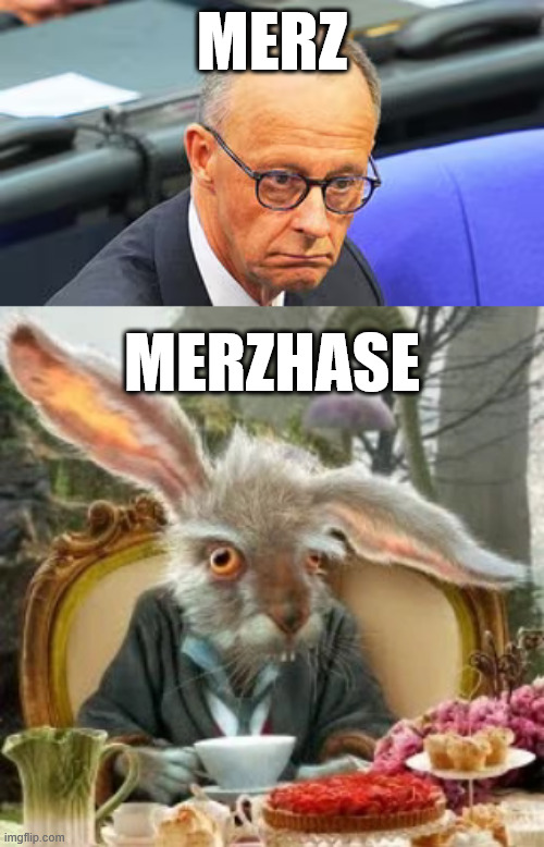 Our new (german) chancellor | MERZ; MERZHASE | image tagged in germany,mad as a march hare | made w/ Imgflip meme maker