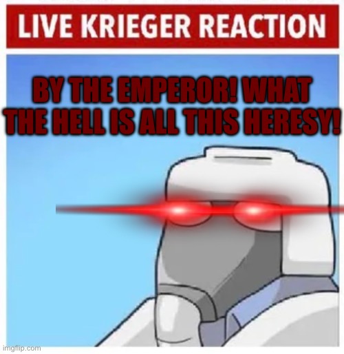 Live Krieger Reaction | BY THE EMPEROR! WHAT THE HELL IS ALL THIS HERESY! | image tagged in live krieger reaction | made w/ Imgflip meme maker