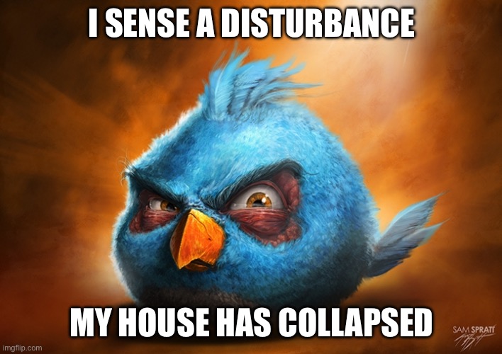 angry birds blue | I SENSE A DISTURBANCE MY HOUSE HAS COLLAPSED | image tagged in angry birds blue | made w/ Imgflip meme maker