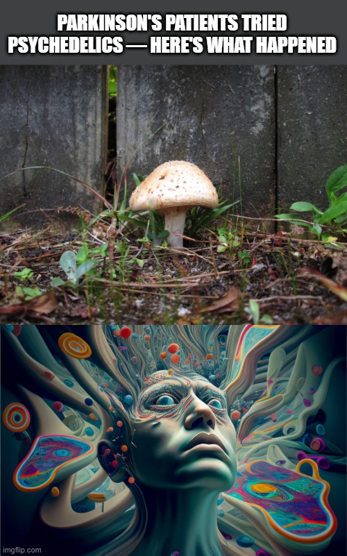 PARKINSON'S PATIENTS TRIED PSYCHEDELICS — HERE'S WHAT HAPPENED | image tagged in mushroom | made w/ Imgflip meme maker