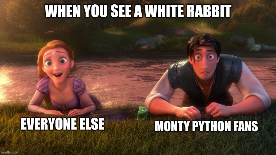 Monty Python Fans | WHEN YOU SEE A WHITE RABBIT; EVERYONE ELSE; MONTY PYTHON FANS | image tagged in tangled those who know,monty python and the holy grail,rabbit | made w/ Imgflip meme maker