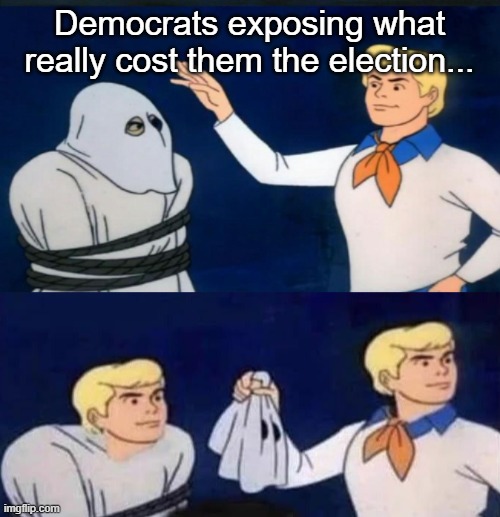 Democrats exposing what really cost them the election... | image tagged in democrats | made w/ Imgflip meme maker