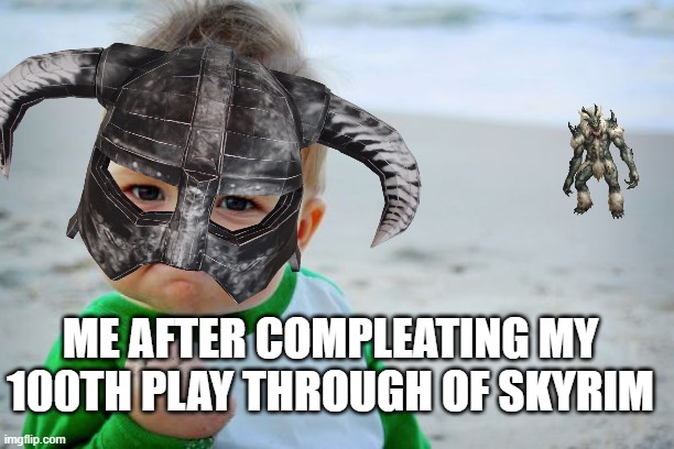 switch player, cost me 80$ | ME AFTER COMPLEATING MY 100TH PLAY THROUGH OF SKYRIM | image tagged in memes,success kid original | made w/ Imgflip meme maker