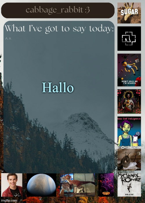 Hallo | Hallo | image tagged in cabbage_rabbit,hallo | made w/ Imgflip meme maker