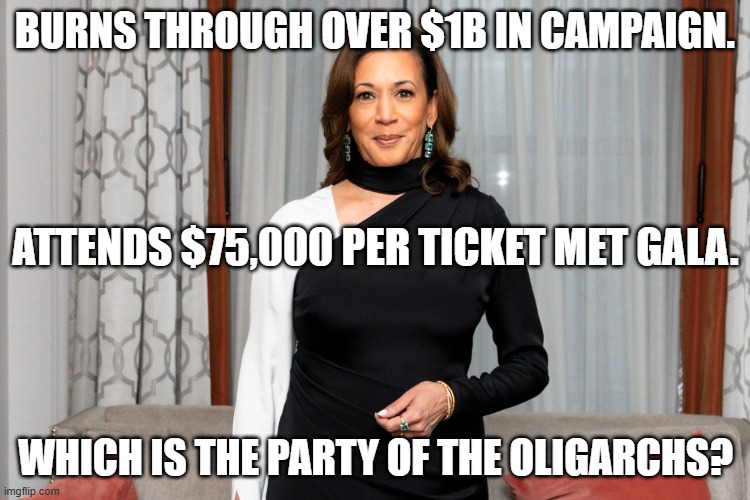 THERE ARE JUST AS MANY BILLIONAIRES (IF NOT MORE) SUPPORTING THE DEMONRATS AS THERE ARE SUPPORTING REPUBLICANS. | BURNS THROUGH OVER $1B IN CAMPAIGN. ATTENDS $75,000 PER TICKET MET GALA. WHICH IS THE PARTY OF THE OLIGARCHS? | image tagged in oligarch,oligarchy,memes,kamala harris,hypocrisy,demonrats | made w/ Imgflip meme maker