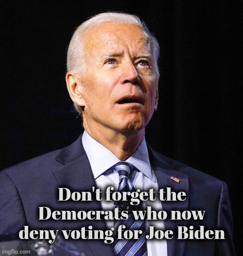Joe Biden | Don't forget the Democrats who now deny voting for Joe Biden | image tagged in joe biden | made w/ Imgflip meme maker