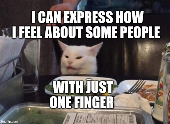 Smudge that darn cat | I CAN EXPRESS HOW I FEEL ABOUT SOME PEOPLE; WITH JUST ONE FINGER | image tagged in smudge that darn cat | made w/ Imgflip meme maker