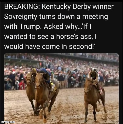 The winner of the Kentucky was interviewed after the race.  - funny - | image tagged in funny,fun,horses,humor,kentucky derby,interview | made w/ Imgflip meme maker