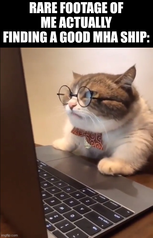 deku x uraraka is canon, so there are some sane people after all | RARE FOOTAGE OF ME ACTUALLY FINDING A GOOD MHA SHIP: | image tagged in research cat,memes,mha,yes i am rating ships again,oh wow are you actually reading these tags | made w/ Imgflip meme maker