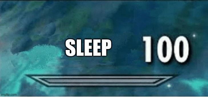 Skyrim 100 Blank | SLEEP | image tagged in skyrim 100 blank | made w/ Imgflip meme maker