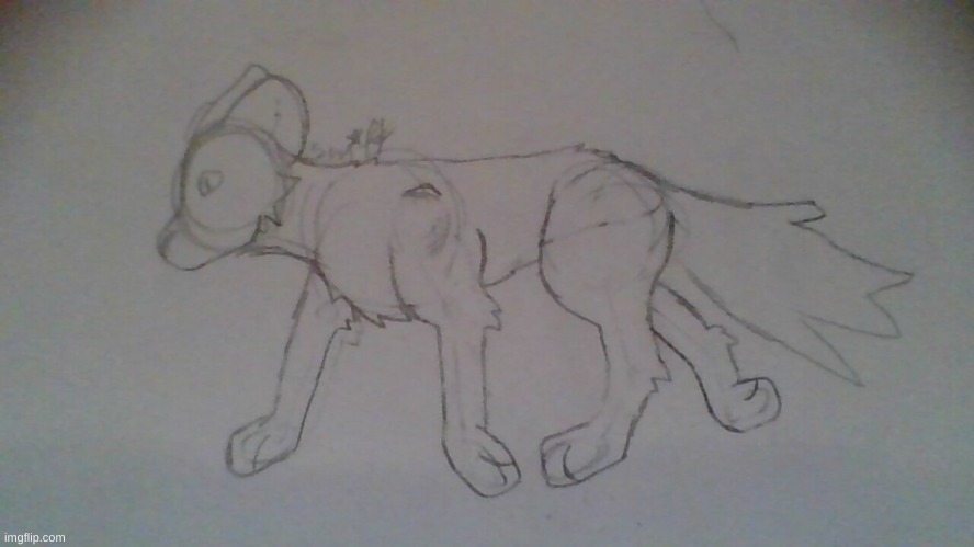 One more wolf sketch | made w/ Imgflip meme maker