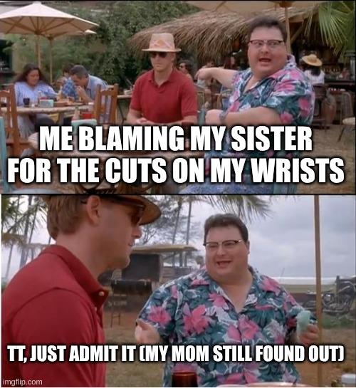 I'm actully screwed | ME BLAMING MY SISTER FOR THE CUTS ON MY WRISTS; TT, JUST ADMIT IT (MY MOM STILL FOUND OUT) | image tagged in memes,see nobody cares | made w/ Imgflip meme maker