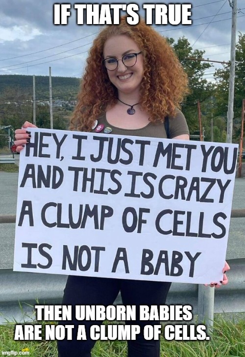 ok then fetuses are not clumps of cells | IF THAT'S TRUE; THEN UNBORN BABIES ARE NOT A CLUMP OF CELLS. | image tagged in pro life,ok zoomer | made w/ Imgflip meme maker