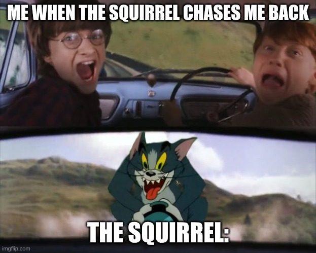 Harry Potter Tom cat meme | ME WHEN THE SQUIRREL CHASES ME BACK; THE SQUIRREL: | image tagged in harry potter tom cat meme | made w/ Imgflip meme maker