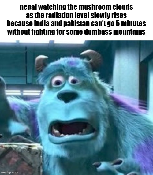 distressed sully | nepal watching the mushroom clouds as the radiation level slowly rises because india and pakistan can't go 5 minutes without fighting for some dumbass mountains | image tagged in distressed sully | made w/ Imgflip meme maker
