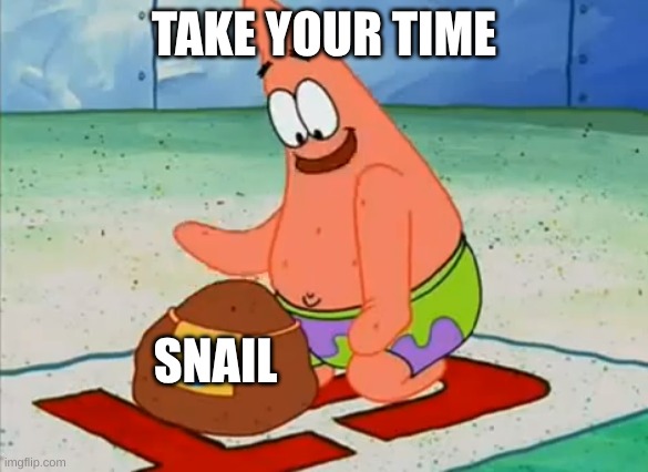Patrick take your time | TAKE YOUR TIME SNAIL | image tagged in patrick take your time | made w/ Imgflip meme maker