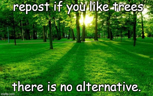 Grass and trees | repost if you like trees; there is no alternative. | image tagged in grass and trees | made w/ Imgflip meme maker