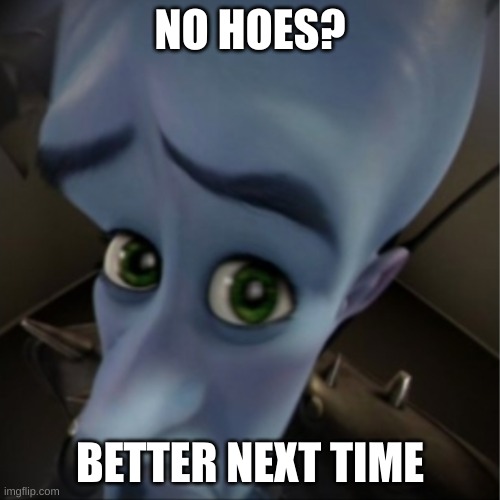 Hoe? | NO HOES? BETTER NEXT TIME | image tagged in megamind peeking | made w/ Imgflip meme maker