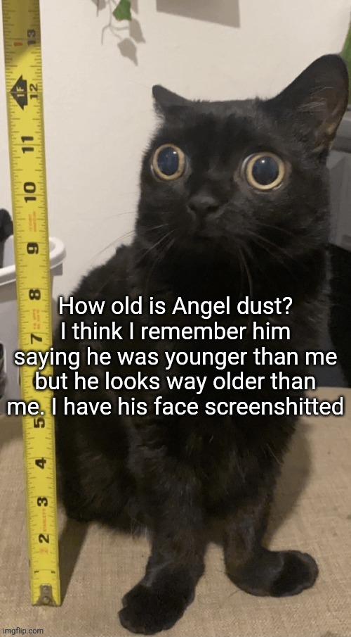H | How old is Angel dust? I think I remember him saying he was younger than me but he looks way older than me. I have his face screenshitted | image tagged in h | made w/ Imgflip meme maker