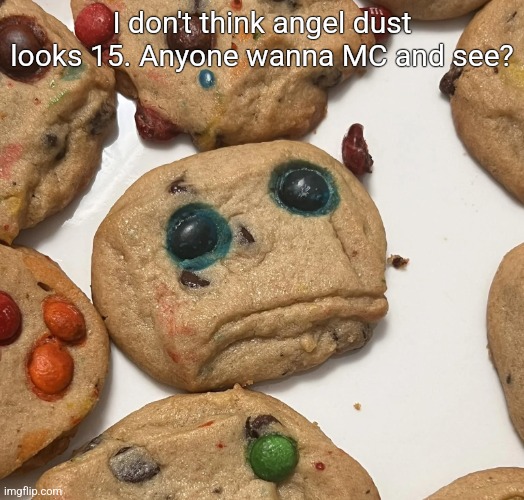 Sad cookie | I don't think angel dust looks 15. Anyone wanna MC and see? | image tagged in sad cookie | made w/ Imgflip meme maker
