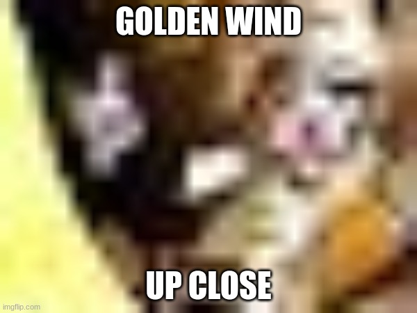 Thanks I hate it | GOLDEN WIND; UP CLOSE | image tagged in jojo's bizarre adventure,jojo meme | made w/ Imgflip meme maker