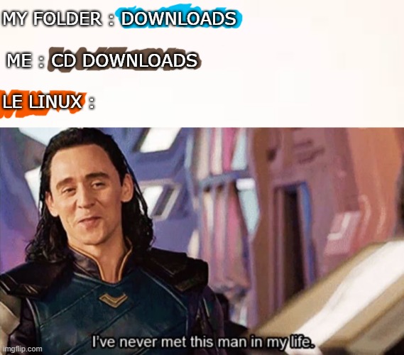 MY FOLDER : DOWNLOADS; ME : CD DOWNLOADS; LE LINUX : | image tagged in i have never met this man in my life | made w/ Imgflip meme maker