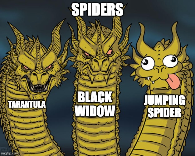 Three-headed Dragon | SPIDERS; BLACK WIDOW; JUMPING SPIDER; TARANTULA | image tagged in three-headed dragon | made w/ Imgflip meme maker