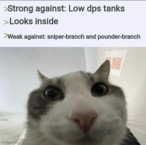 Cat looks inside | Strong against: Low dps tanks; Looks inside; Weak against: sniper-branch and pounder-branch | image tagged in cat looks inside | made w/ Imgflip meme maker