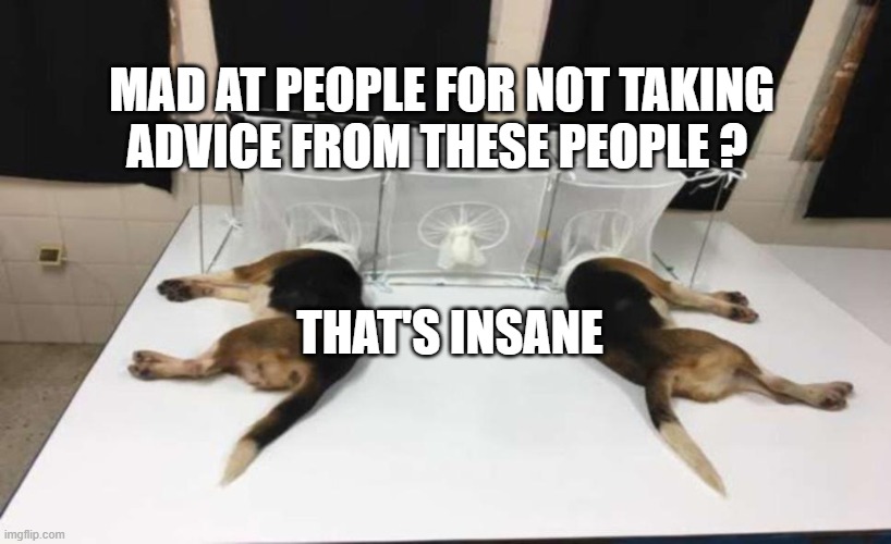 Fauci Beagles | MAD AT PEOPLE FOR NOT TAKING ADVICE FROM THESE PEOPLE ? THAT'S INSANE | image tagged in fauci beagles | made w/ Imgflip meme maker