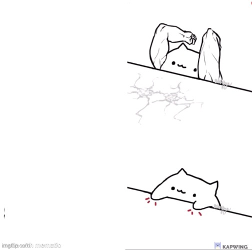 bongo cat strong | image tagged in bongo cat strong | made w/ Imgflip meme maker