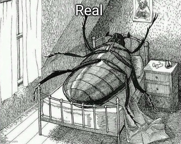 Anywhere where i can read the full metamorphosis book? | Real | image tagged in gregor samsa | made w/ Imgflip meme maker