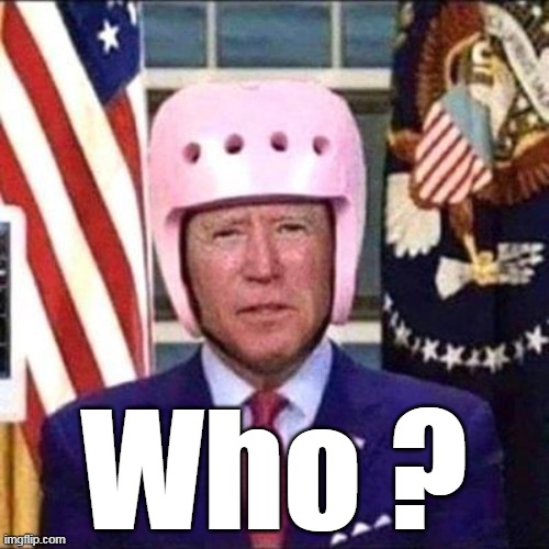 Who ? | made w/ Imgflip meme maker
