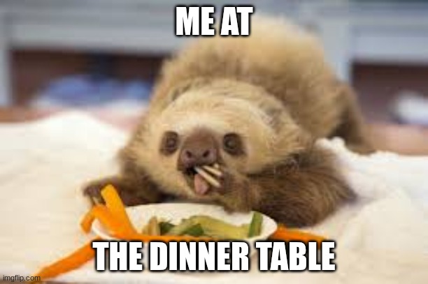SLOTH KAM | ME AT; THE DINNER TABLE | image tagged in sloth kam | made w/ Imgflip meme maker