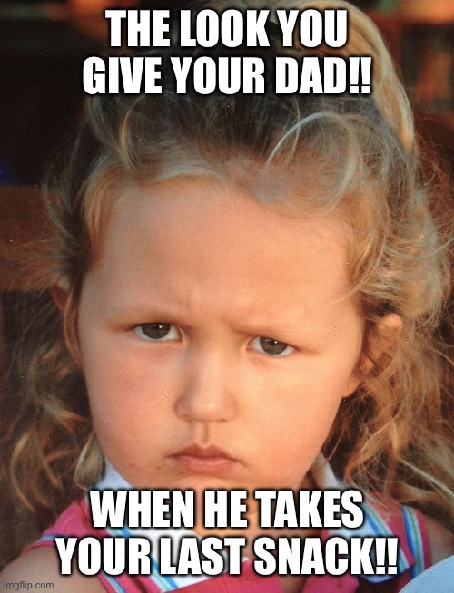Funny | THE LOOK YOU GIVE YOUR DAD!! WHEN HE TAKES YOUR LAST SNACK!! | image tagged in serious | made w/ Imgflip meme maker